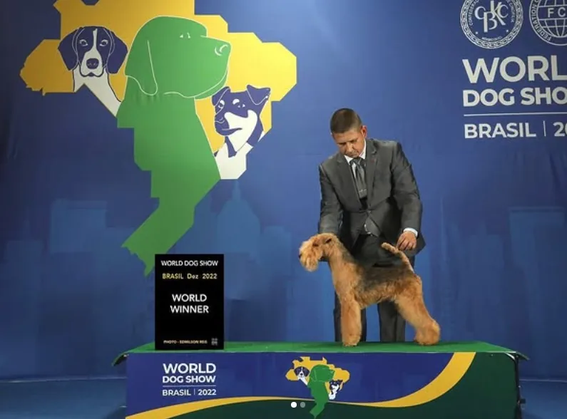 Bubba de Ciudad Estrella · World Winner en el World Dog Show Brasil 2022