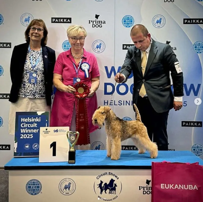 Of Lakilands Bambam · Best in Show en Helsinki 2025