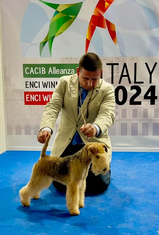 Of Lakilands Bambam · ENCI Winner Italia 2024