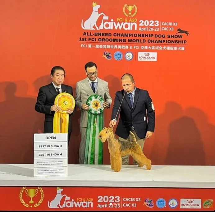 Bubba de Ciudad Estrella · Best in Show en Taiwán 2023