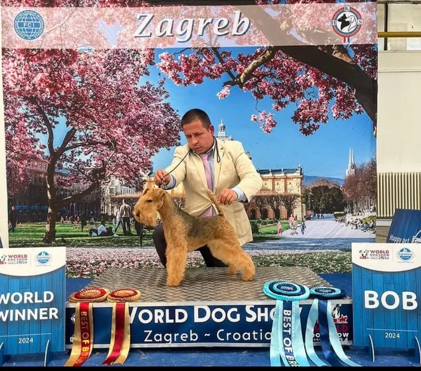 Of Lakilands Bambam · World Winner y BOB en el World Dog Show Zagreb 2024
